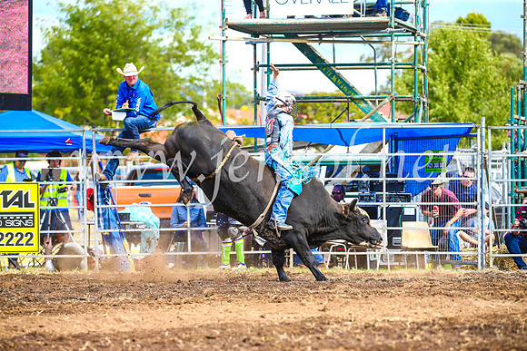 QueanbeyanRodeo2017_2744