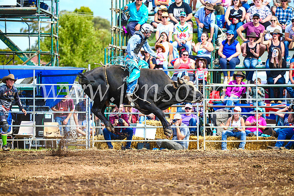 QueanbeyanRodeo2017_2759