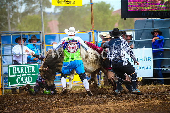 QueanbeyanRodeo2017_2856