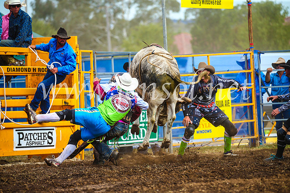 QueanbeyanRodeo2017_2871