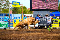 QueanbeyanRodeo2017_2636