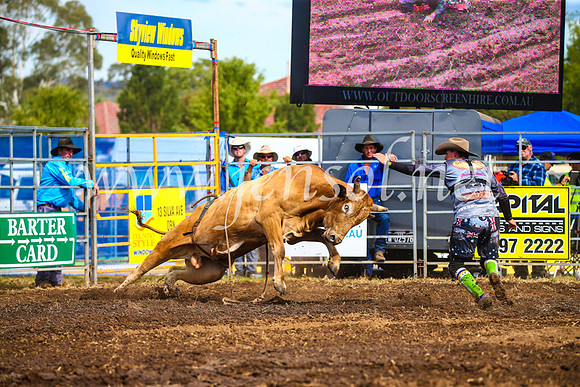 QueanbeyanRodeo2017_2636