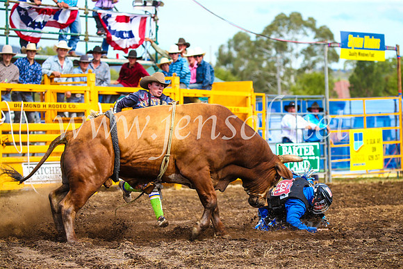 QueanbeyanRodeo2017_2909