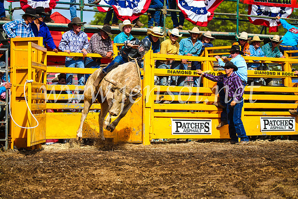 QueanbeyanRodeo2017_2968
