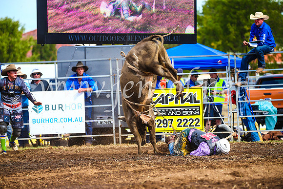 QueanbeyanRodeo2017_2796