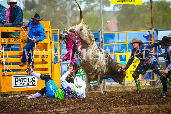 QueanbeyanRodeo2017_2872