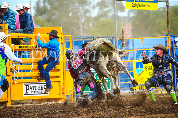 QueanbeyanRodeo2017_2851
