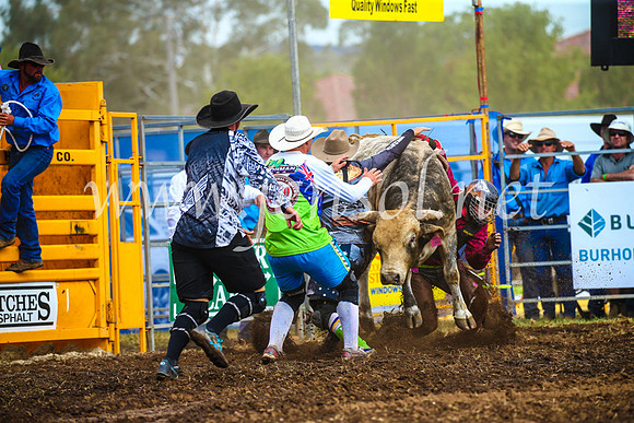 QueanbeyanRodeo2017_2867