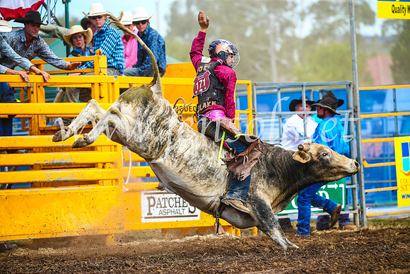 QueanbeyanRodeo2017_2826