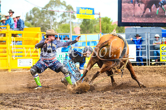 QueanbeyanRodeo2017_2902