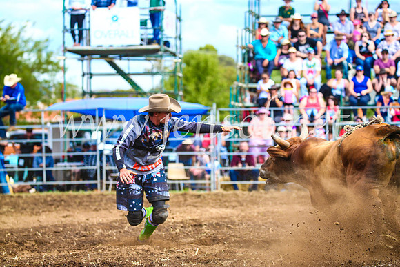 QueanbeyanRodeo2017_2936