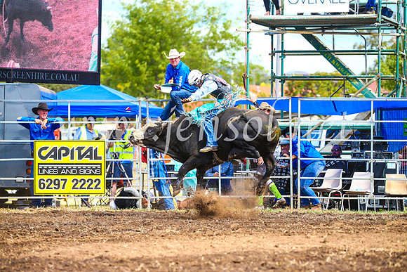 QueanbeyanRodeo2017_2737