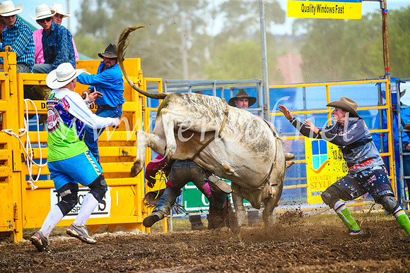 QueanbeyanRodeo2017_2854