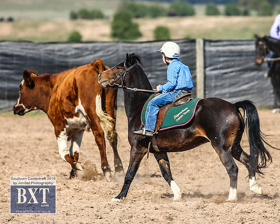 GoulburnCampdraft2019_3483