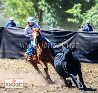 NimmitabelCampdraft2024_0322