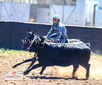 NimmitabelCampdraft2024_0332