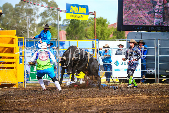 QueanbeyanRodeo2017_2582
