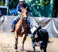NimmitabelCampdraft2024_0278