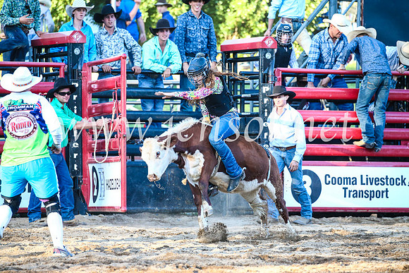 CoomaRodeo2017_3276