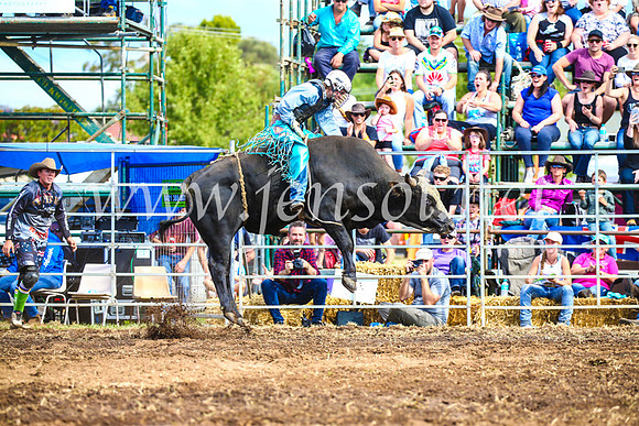 QueanbeyanRodeo2017_2758