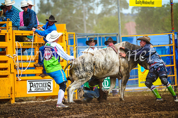 QueanbeyanRodeo2017_2845