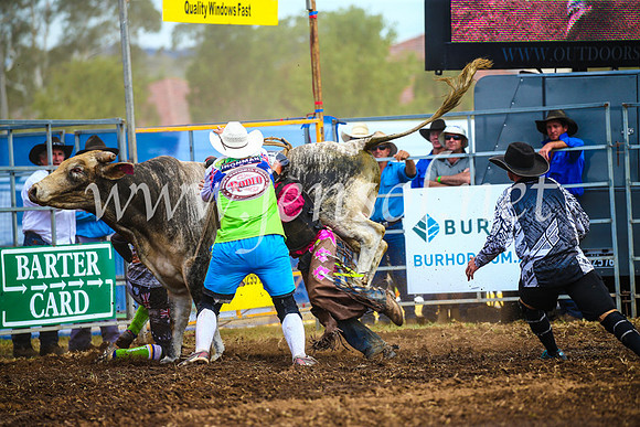 QueanbeyanRodeo2017_2860