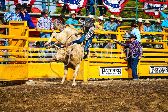 QueanbeyanRodeo2017_2966
