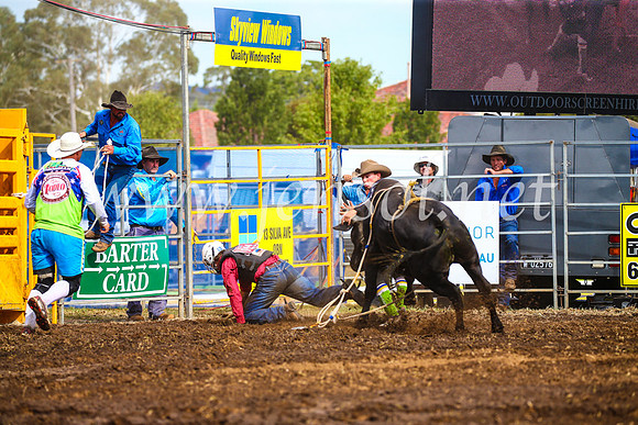 QueanbeyanRodeo2017_2593