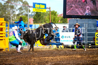 QueanbeyanRodeo2017_2585