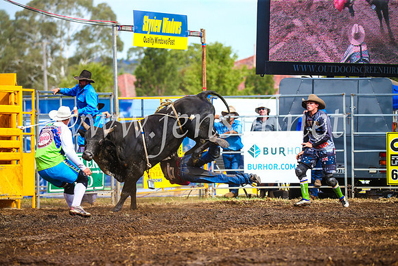 QueanbeyanRodeo2017_2585