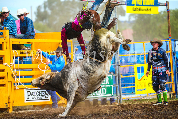 QueanbeyanRodeo2017_2821