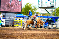 QueanbeyanRodeo2017_2552