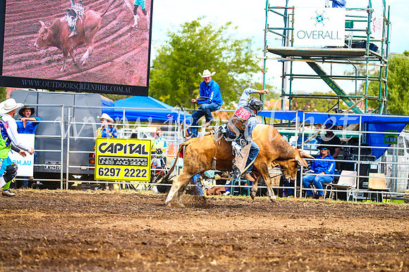 QueanbeyanRodeo2017_2552
