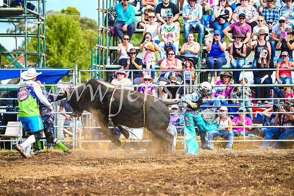 QueanbeyanRodeo2017_2780