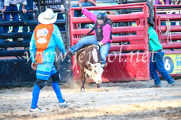 CoomaRodeo2017_3349