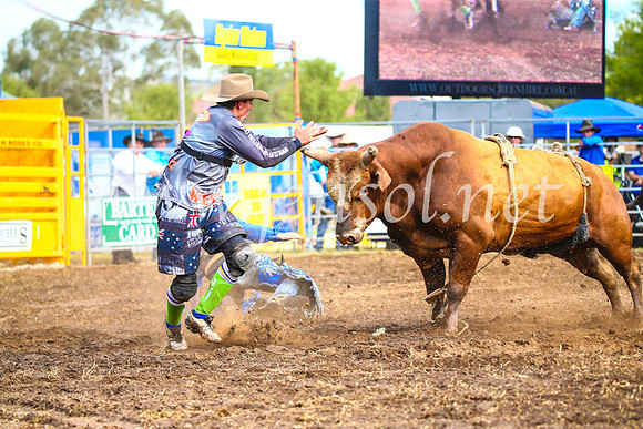 QueanbeyanRodeo2017_2912