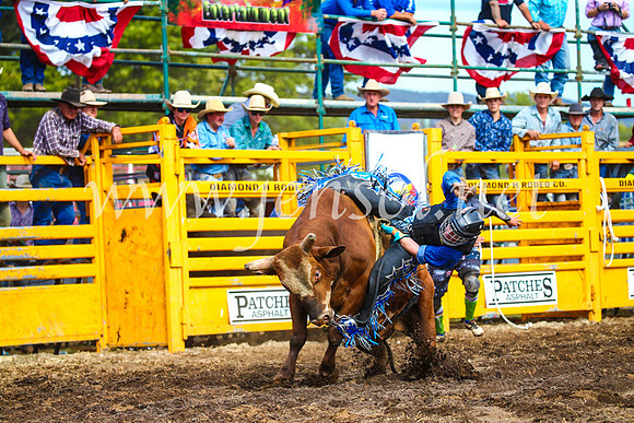 QueanbeyanRodeo2017_2898