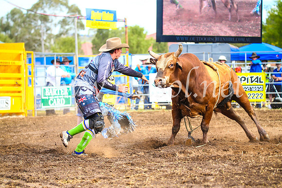 QueanbeyanRodeo2017_2914