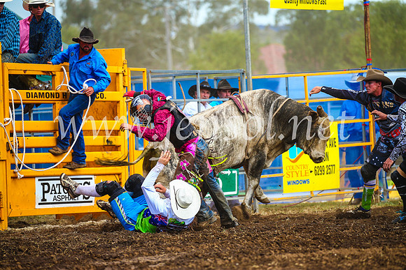 QueanbeyanRodeo2017_2874