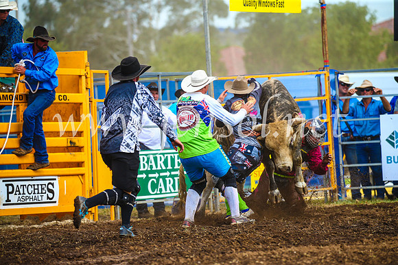 QueanbeyanRodeo2017_2869