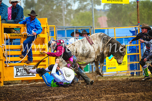 QueanbeyanRodeo2017_2873