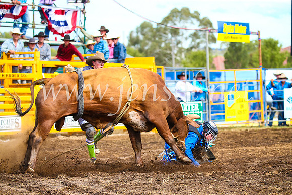 QueanbeyanRodeo2017_2910