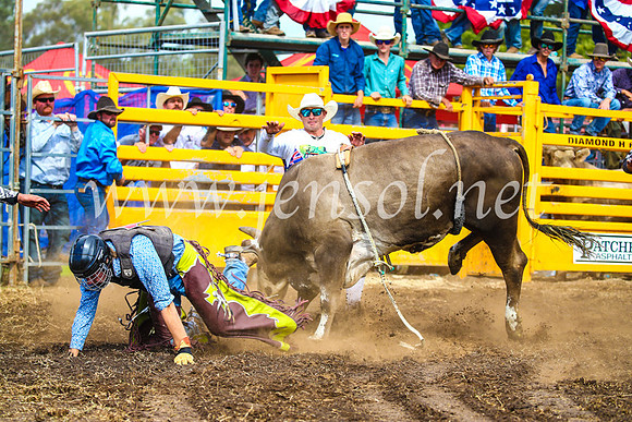 QueanbeyanRodeo2017_2680