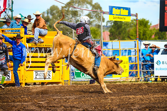 QueanbeyanRodeo2017_2624