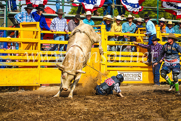 QueanbeyanRodeo2017_2993
