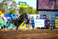 QueanbeyanRodeo2017_2580