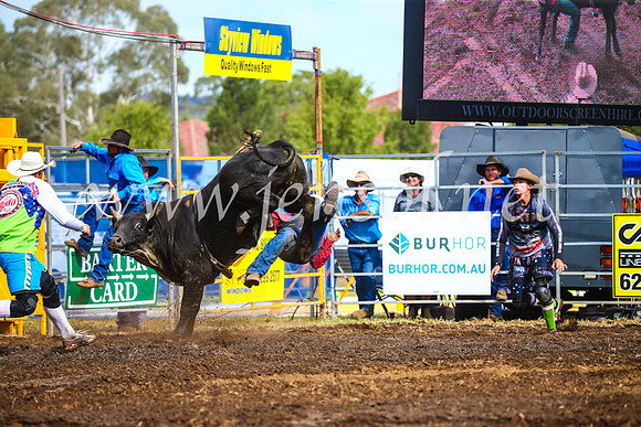 QueanbeyanRodeo2017_2580