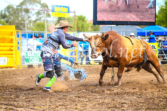 QueanbeyanRodeo2017_2913