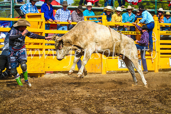 QueanbeyanRodeo2017_2995