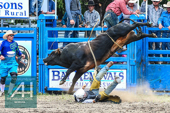 MoruyaRodeo2018_2142